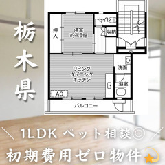【烏山／1LDK】✨初期費用0円✨2人入居OK👥ペット相談🐱