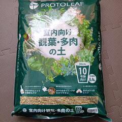 10号 室内向け 観葉 多肉 土
