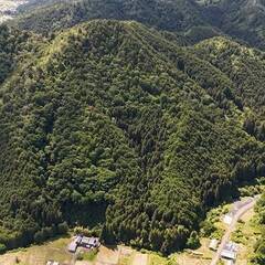 【売却済】山林物件262　岐阜県関市中之保