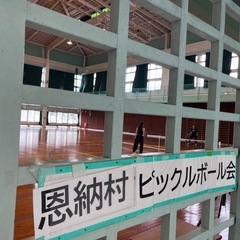 6/8 恩納村でピックルボール一緒にやりませんか？