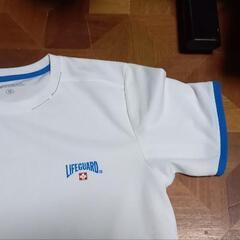 白Tシャツの画像