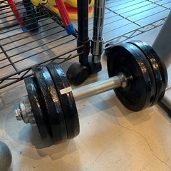 ダンベル　トレーニング　筋トレ
