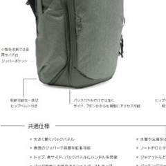 2万5千円　中古　ピークデザイントラベル バックパック 45L セージ　45Lの画像