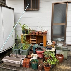 更新別ページへ➡️ご自由にどうぞ