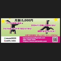 キッズブレイクダンス教室　TNKK.INC寺田町校の画像