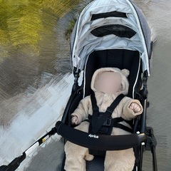 アップリカ ベビーカー ラクーナ ビッテ クッション アカチャンホンポ限定モデル 新生児 グレーの画像