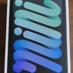 iPad mini