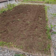🌱家庭菜園の畑おこし🌱