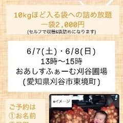 玉ねぎ詰め放題約10kg2,000円の画像