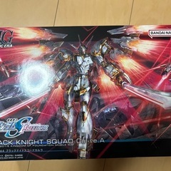 ガンプラ HG ブラックナイトスコードカルラ