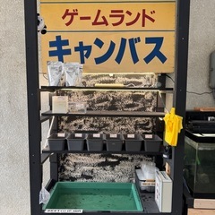 めだか無人販売所 
新規オープン