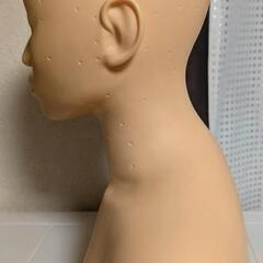 練習用 デコルテ土台 の画像
