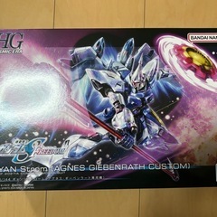 ガンプラ HG ギャンシュトローム