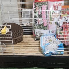 うさぎ飼育セット