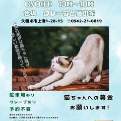 保護猫譲渡会6/8(日)