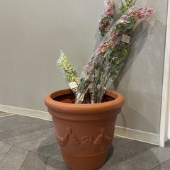 大きな鉢