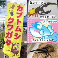 🌈🍀わいわい市藤沢店、チャリティー昆虫くじ・メダカすくいイ…