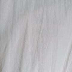 ワンピースLの画像