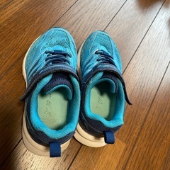 瞬足　16センチの画像