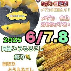 🌽トウモロコシイベント🌽道の駅おかべ