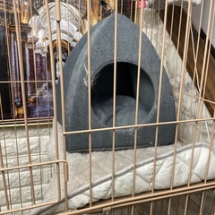 キャットハウス＋モコモコ