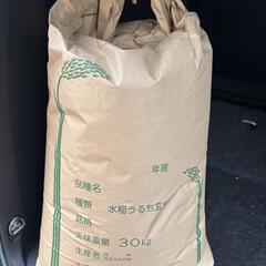 お米10キロ