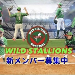新メンバー募集