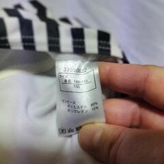 １６０cm水着 ストライプの画像