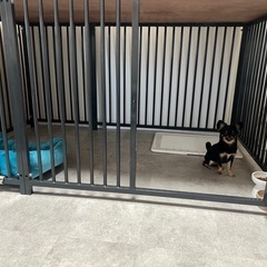 犬ゲージ　120センチ×180センチの画像