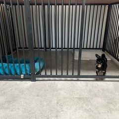 犬ゲージ　120センチ×180センチの画像
