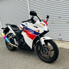 CBR250R MC41 ABS モリワキマフラー 自賠責あり ...