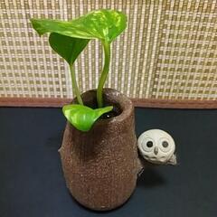 信楽焼のミニ花瓶