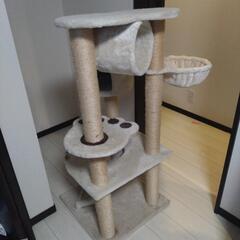 キャットタワーの画像
