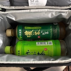 サーモス　ソフトクーラーバッグ5L（保冷剤付き）の画像