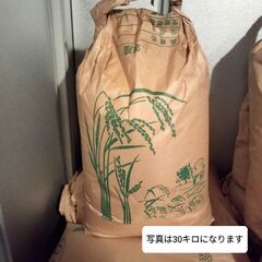 新米 5キロ ひのひかり 玄米 24年産
