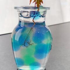 紅葉 イロハモミジの苗 苔の盆栽の画像