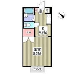 即入居可❕❕💜💙初期費用5万円パック＆フリーレント1ヶ月付き💙💜...
