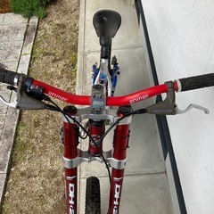 【決まりました】 MTBマングース(ダウンヒル向け)の画像