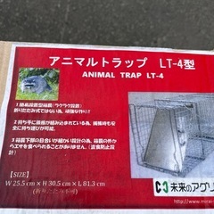 ☆激安品☆アニマルトラップ　LT-4型の画像