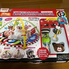 大人気！しましまぐるぐる カラフルジム