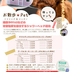 小型犬シャンプー・カット5800円～トリミング＆ペットシッター【...