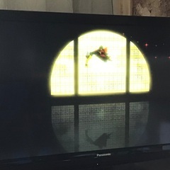 Panasonic 37型テレビ VIERA TH-L37S2（2010年製）大分市／引き取り限定の画像