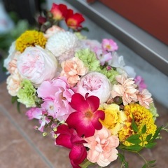 花生活始めませんか？の画像