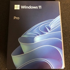 Windows11Pro USB