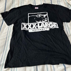 160Tシャツ二枚組の画像