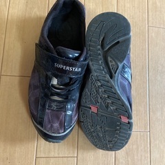 ムーンスター(22センチ)の画像