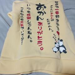 110トレーナーの画像