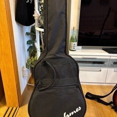 James 
アコースティックギターの画像