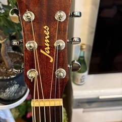 James 
アコースティックギターの画像