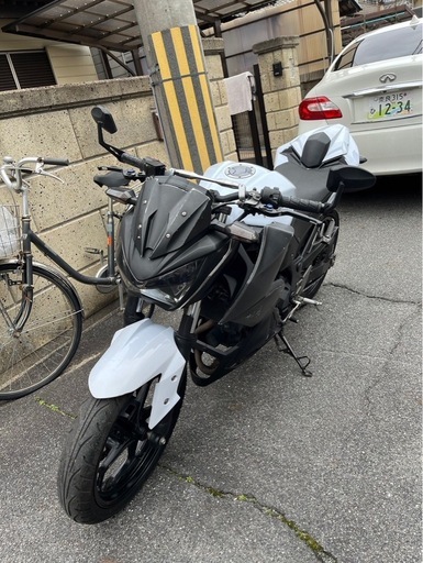 カワサキ　Z250　Fi　ストリートファイター